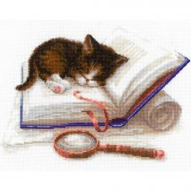 Kit Punto Croce - Riolis - Gattino nel libro
