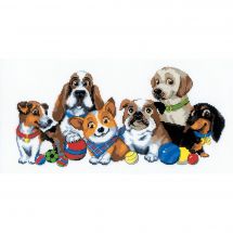 Kit Punto Croce - Riolis - Esposizione canina