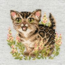 Kit Punto Croce - Riolis - Gatto bengala