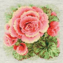 Kit Punto Croce - Riolis - Begonia