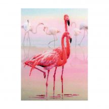 Kit Punto Croce - Riolis - Fenicotteri rosa