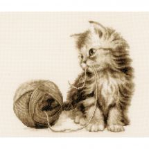 Kit Punto Croce - Vervaco - Gatto