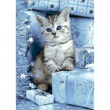 Kit ricamo diamante - Wizardi - Gattino e regali di Natale