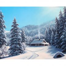 Kit ricamo diamante - Wizardi - Giorno d'inverno