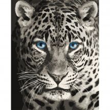 Kit di pittura per numero - Wizardi - Leopardo dagli occhi blu